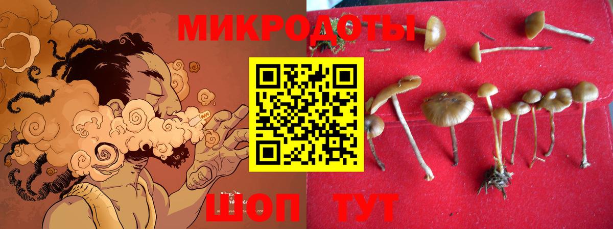 Ставрополь  Галлюциногенные грибы MAGIC MUSHROOMS  Вход с VPN  Галлюциногенные грибы мицелий 