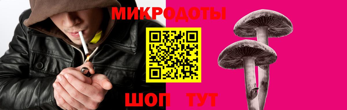 Псилоцибиновые грибы мицелий Ставрополь